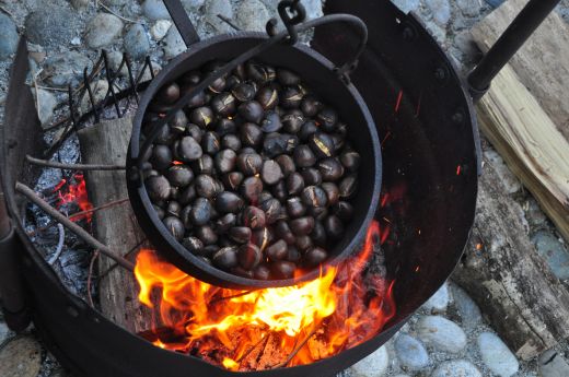 Arcegno Castagne 2011 089